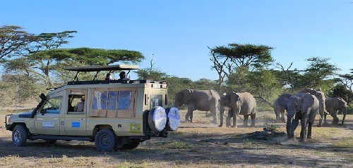 Ein lohnenswertes Ziel im Leben ist eine Safari in der Serengeti